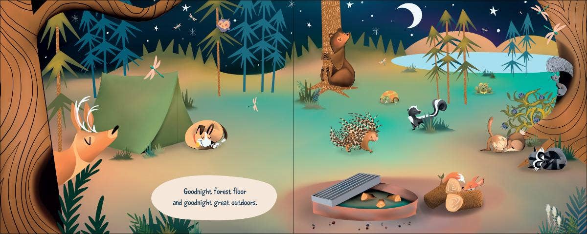 Goodnight Great Outdoors Board Book