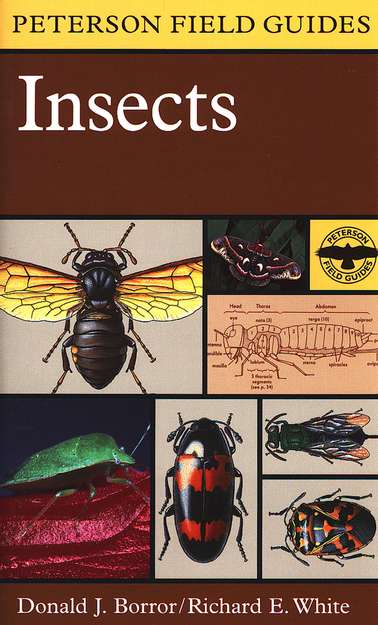 Peterson Field Guides Insects