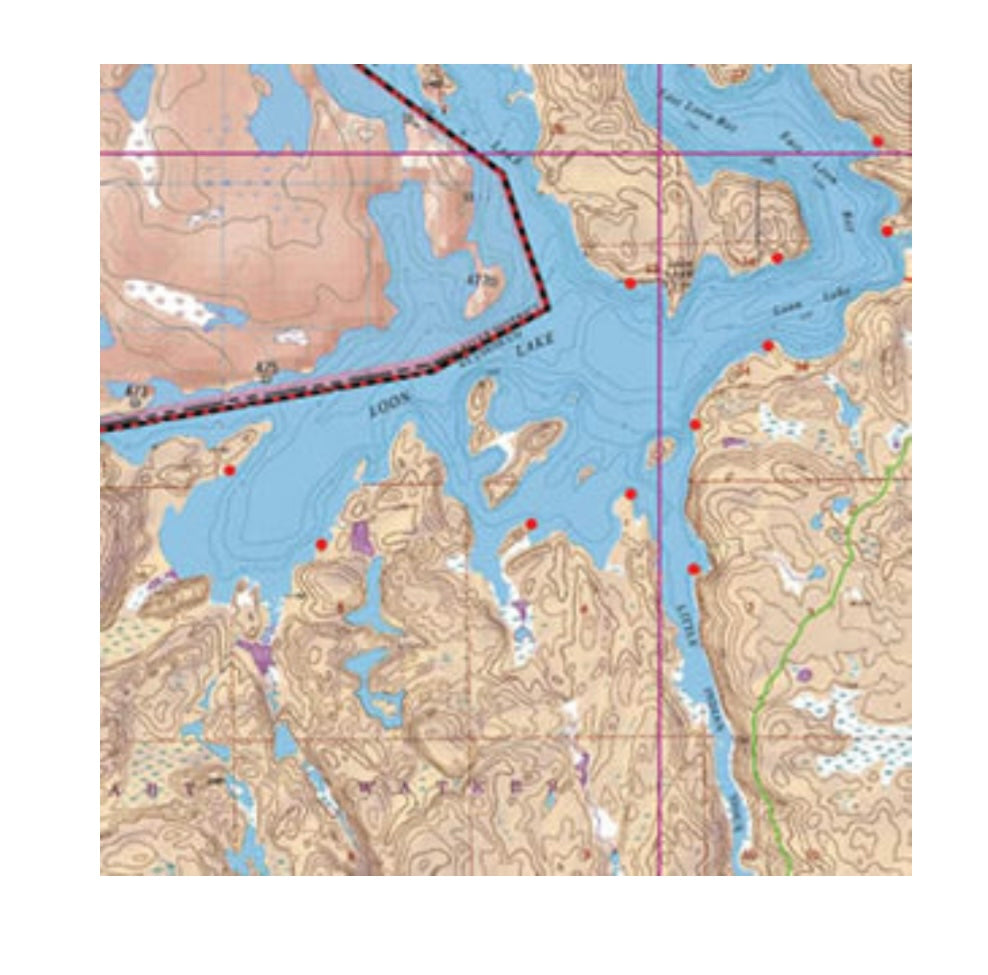 Map #14: Loon/Wilkins Bay