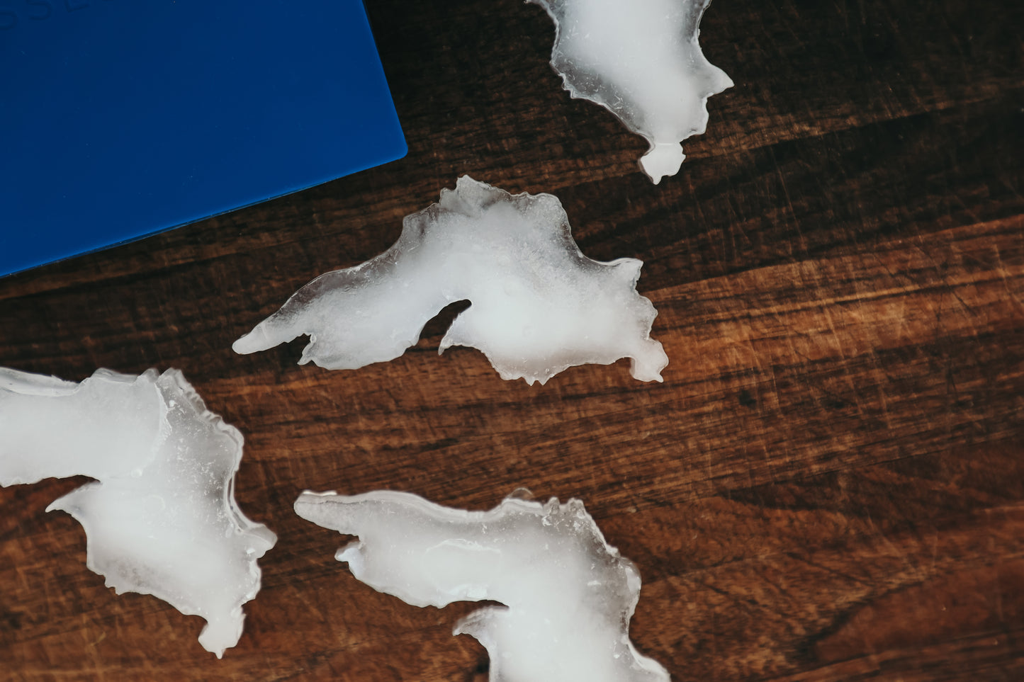 Lake Superior Ice Cube Tray (Copy)