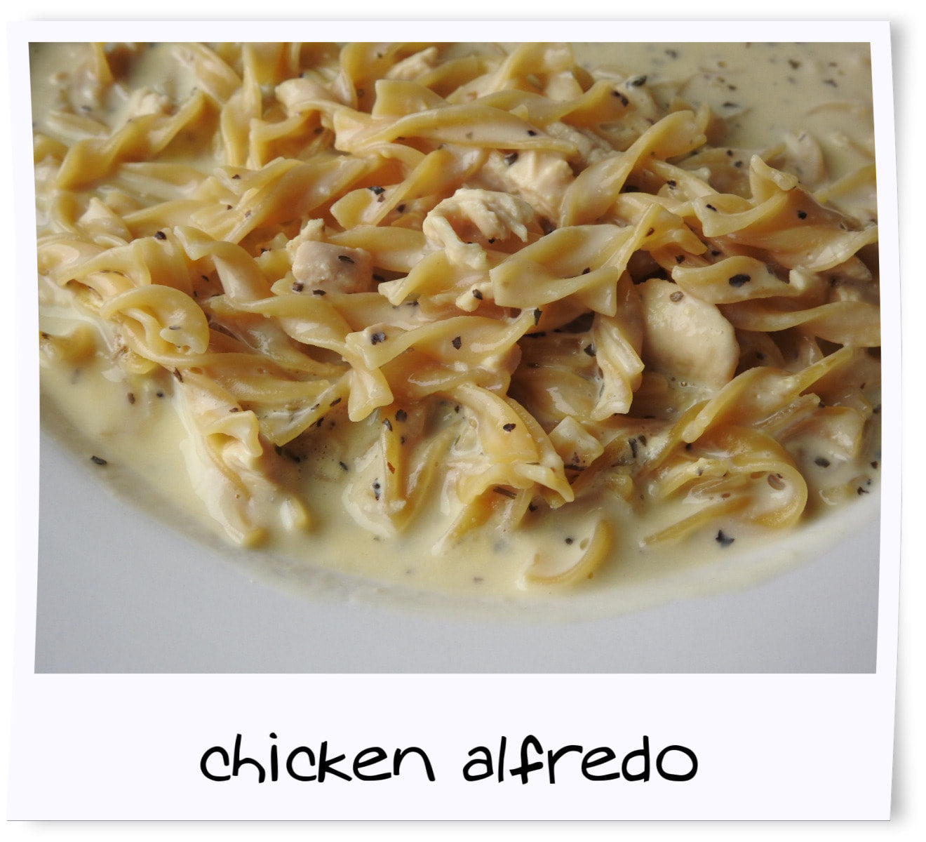 Chicken Alfredo 1